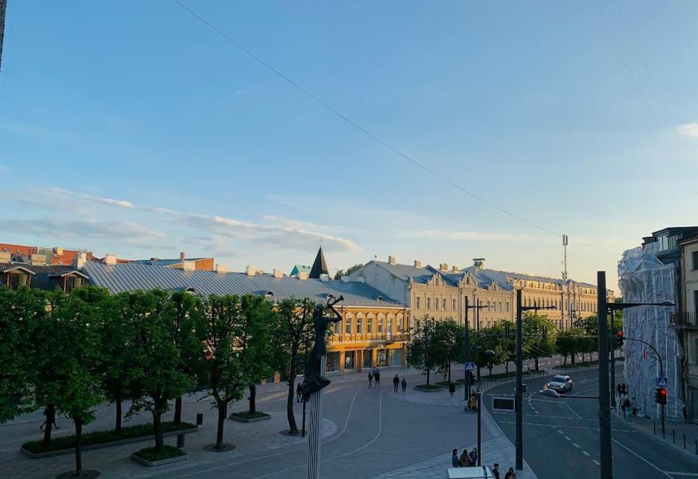 Three Bedroom With Two Terraces For 7People+Baby Каунас Екстер'єр фото