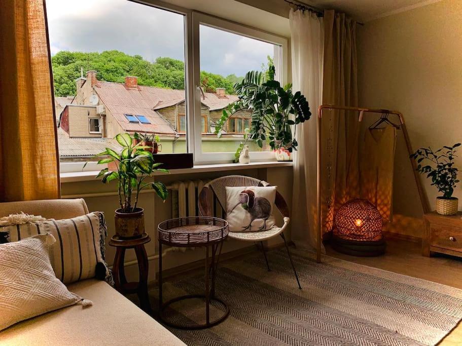 Three Bedroom With Two Terraces For 7People+Baby Каунас Екстер'єр фото