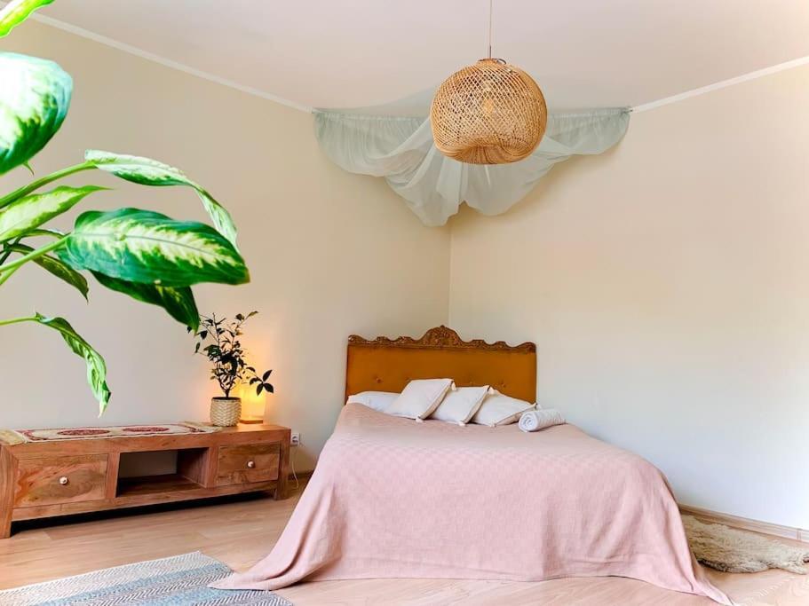 Three Bedroom With Two Terraces For 7People+Baby Каунас Екстер'єр фото