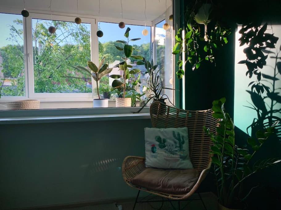 Three Bedroom With Two Terraces For 7People+Baby Каунас Екстер'єр фото