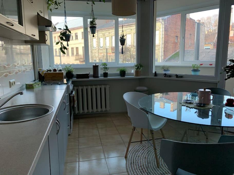 Three Bedroom With Two Terraces For 7People+Baby Каунас Екстер'єр фото